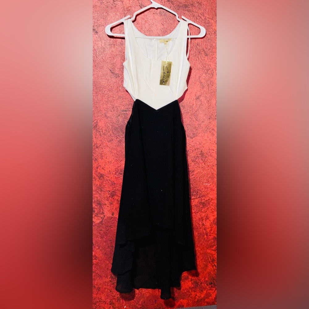 NWT! Cecico Dress